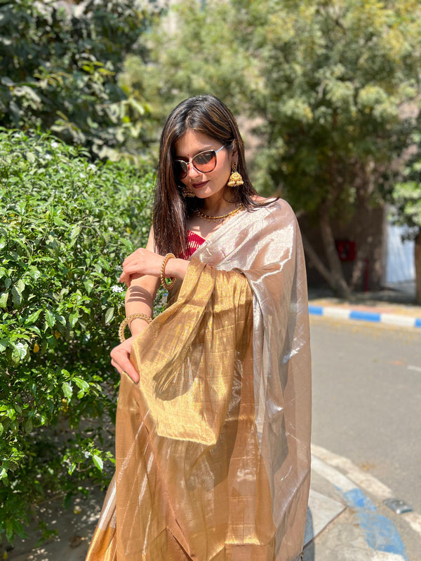 ✨ Raagini Saree– The Gold & Silver Muse ✨