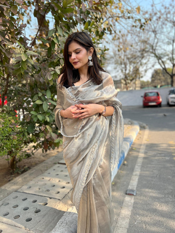 ✨ Silver Grey Tissue Saree✨