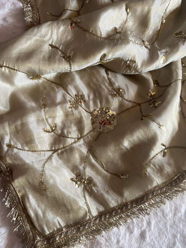 ✨Beige Jaal Tissue Saree✨