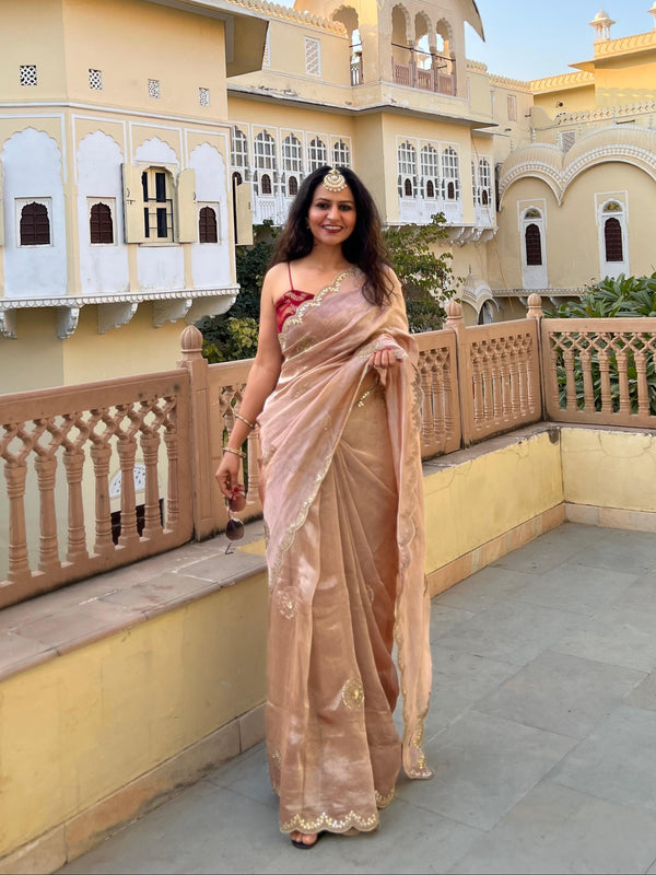 ✨💗Mayur Tissue Saree💗✨