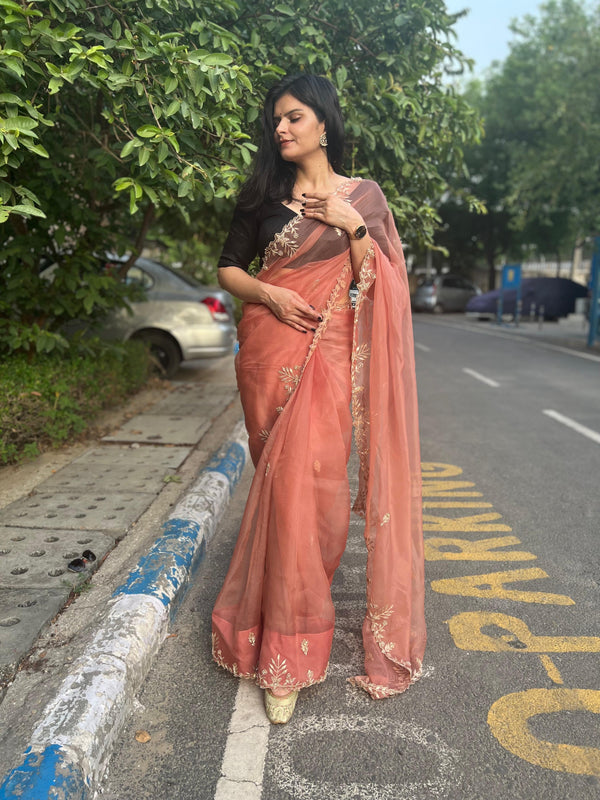 ✨ Meera Zardozi Saree ✨