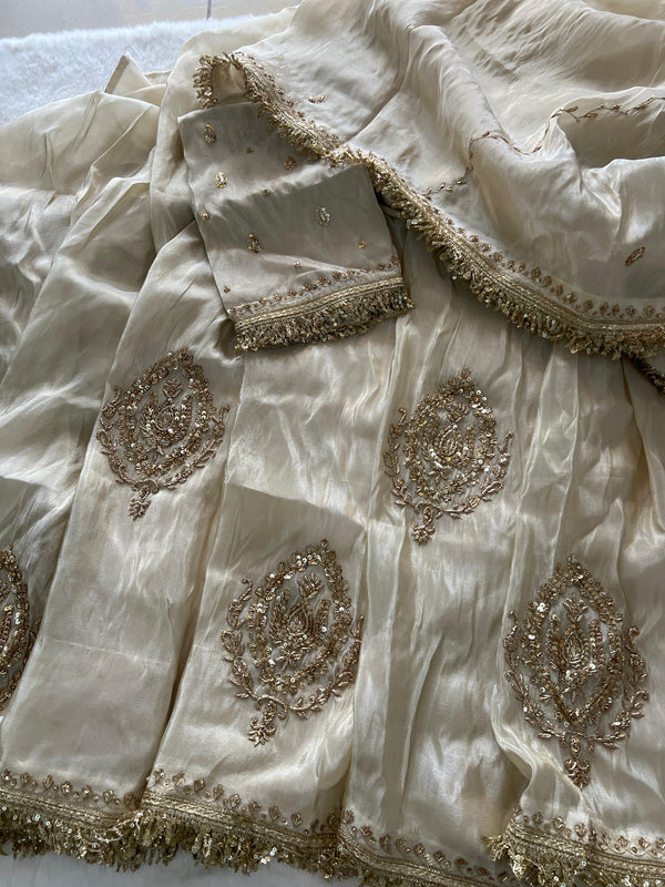 ✨ Saanjh Zardozi Tissue Saree✨