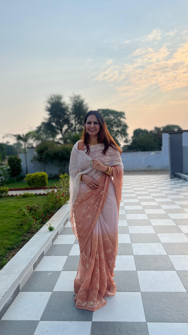 ✨ Mughal Jharokha Jaal Saree ✨