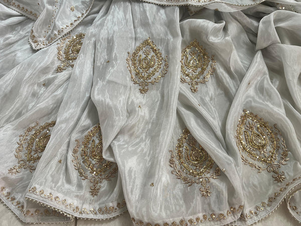 ✨ Silver Zardozi Tissue Saree ✨