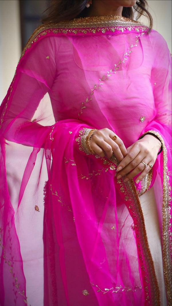 💞 Tyonhaar Ka Mela – Pink Dupatta 💞 ✨